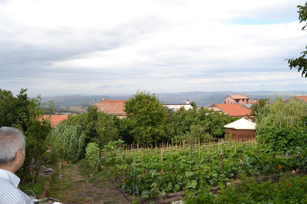 Su Cantaru Guesthouse Villanova Monteleone Bagian luar foto