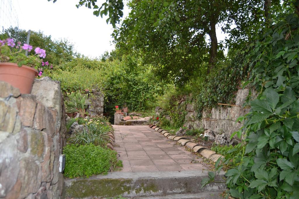 Su Cantaru Guesthouse Villanova Monteleone Bagian luar foto