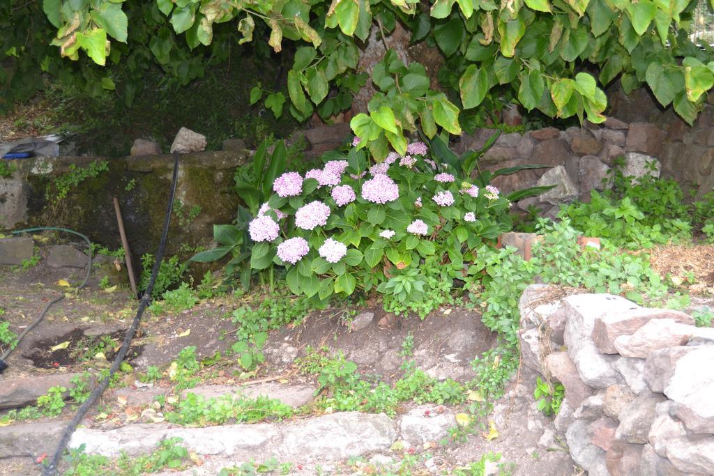 Su Cantaru Guesthouse Villanova Monteleone Bagian luar foto
